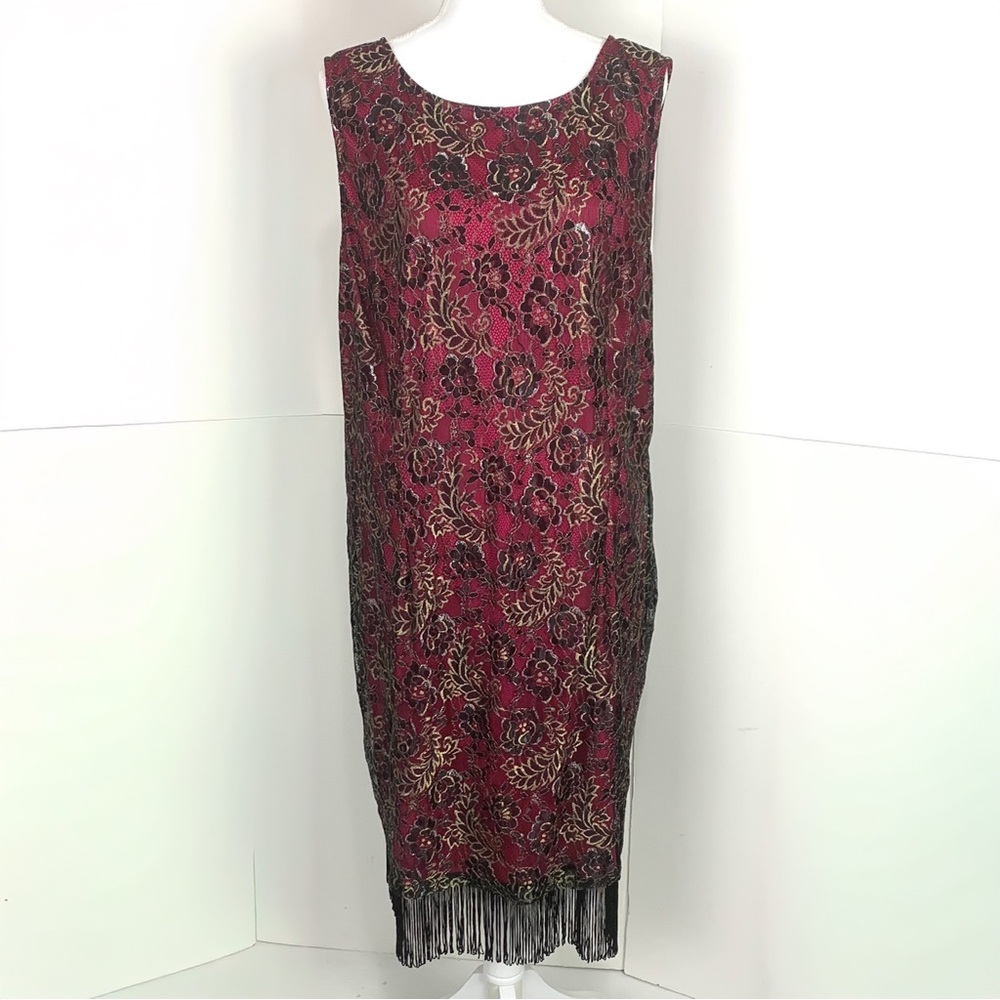 Joanna Hope Women Plus Size 22 Fringed Midi Sheath Dress Lace Whimsigoth Bow